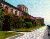 palreal1.gif (14922 byte)